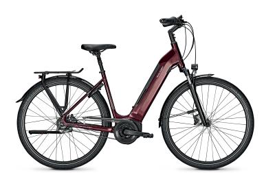 Raleigh BRISTOL PREMIUM mahagonyred glossy 2021 - 28