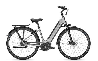 Raleigh BRISTOL PREMIUM steelgrey matt 2020 - Wave RT -  