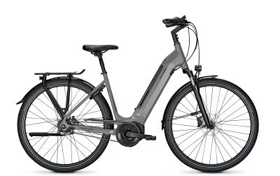 Raleigh BRISTOL PREMIUM torontogrey glossy 2021 - 28