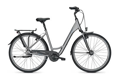 Raleigh CHESTER 8 steelgrey matt 2021 - 28