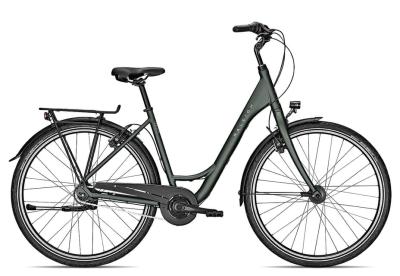 Raleigh Devon 8 techgreen matt 2022 - Unisex-28