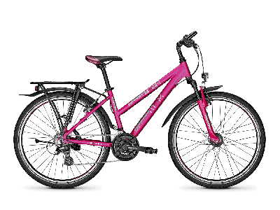 Raleigh FUNMAX deepmagenta matt 2020 - Trapez -  