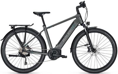 Raleigh Kent 10 XXL granitegrey matt 2022 - Herren-28