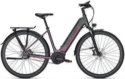 Raleigh Kent Premium mystypurple/diamondblack matt 2022 - Unisex-28