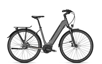 Raleigh KENT PREMIUM granitegrey matt 2020 - Wave -  