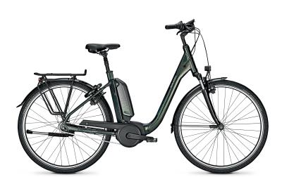 Raleigh KINGSTON 7 PLUS deepgreen glossy 2021 - 28