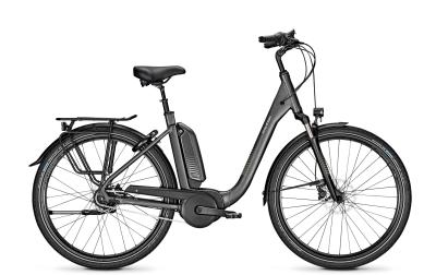 Raleigh KINGSTON 8 XXL granitegrey matt 2020 - Comfort RT -  