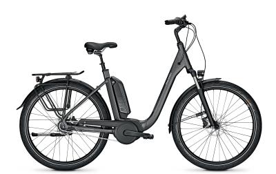 Raleigh KINGSTON 8 XXL granitegrey matt 2021 - 27