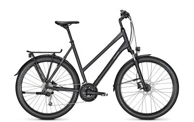 Raleigh RUSHHOUR 4.0 XXL phantomgrey matt 2020 - Trapez -  