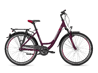 Raleigh SCHOOLMAX deeppurple matt 2020 - Wave -  