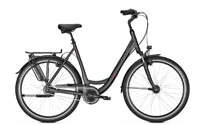 Raleigh UNICO XXL darkgrey matt 2018 - 28 Wave RT -  