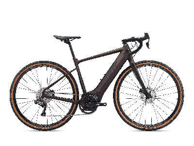 Giant Revolt E+ rosewood 2022 - 22