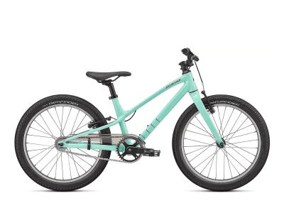 Specialized Jett 20 Single Speed Gloss Oasis / Forest Green 2023 - 20