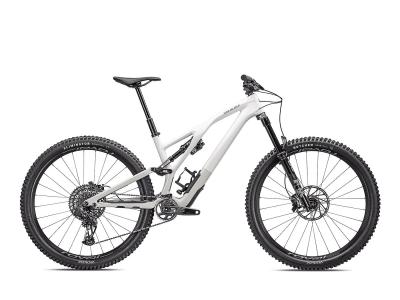 Specialized Stumpjumper EVO Expert Gloss Birch / Taupe 2023 - 29