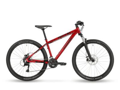 Stevens Team RC 27.5