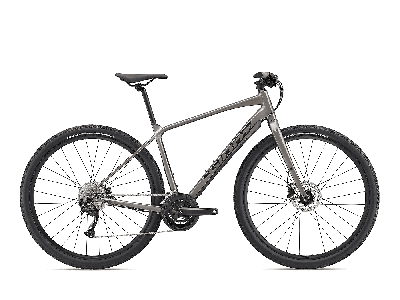 Giant ToughRoad SLR 2 metal 2022 - 28