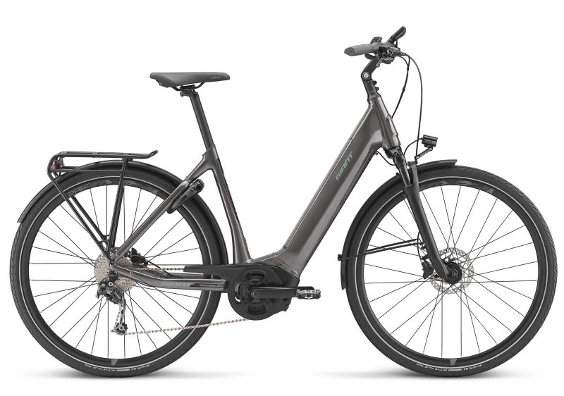 Giant AnyTour E+ 2 LDS Spacegrey 2020 L | wei7551