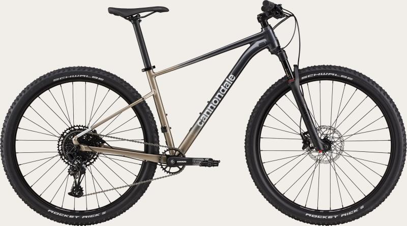 Cannondale Trail SL 1 Stealth Grey 2023 - 29
