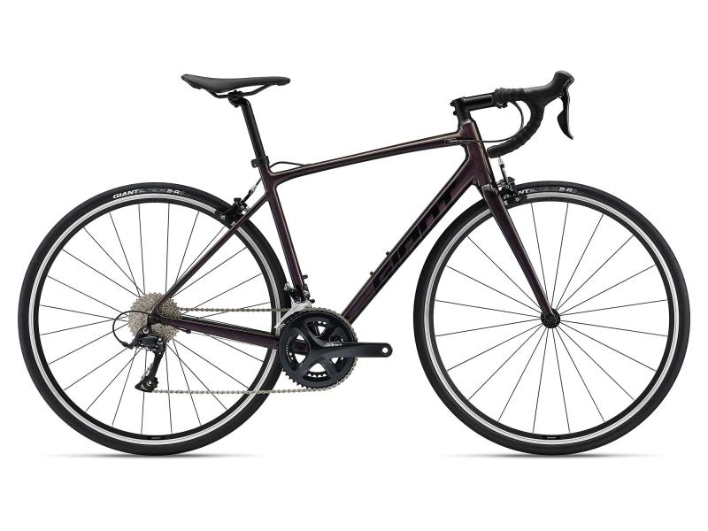 Giant Contend rosewood 2024 - 28