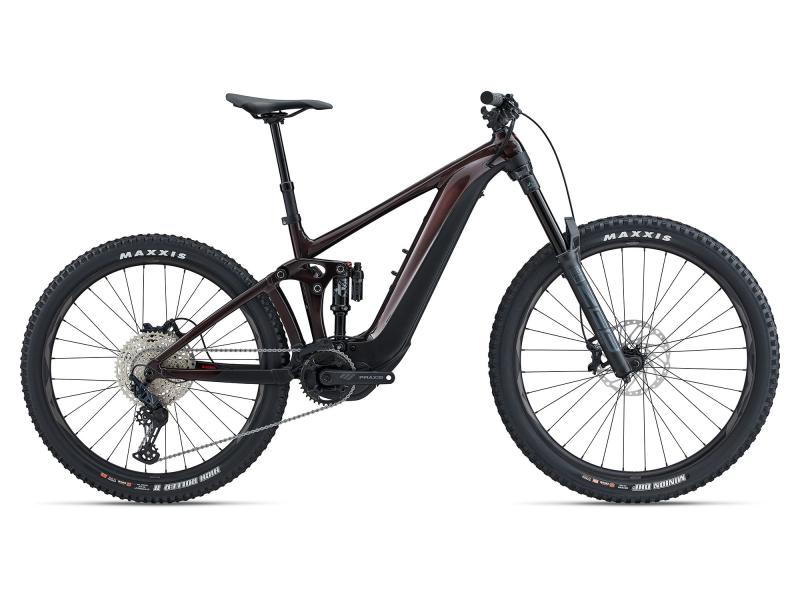 Giant Reign E+ 2 cordovan / black gloss-matt 2024 - 27.5