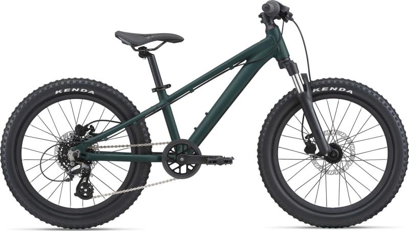 Giant STP 20 FS GIANT trekking green 2022 - 20