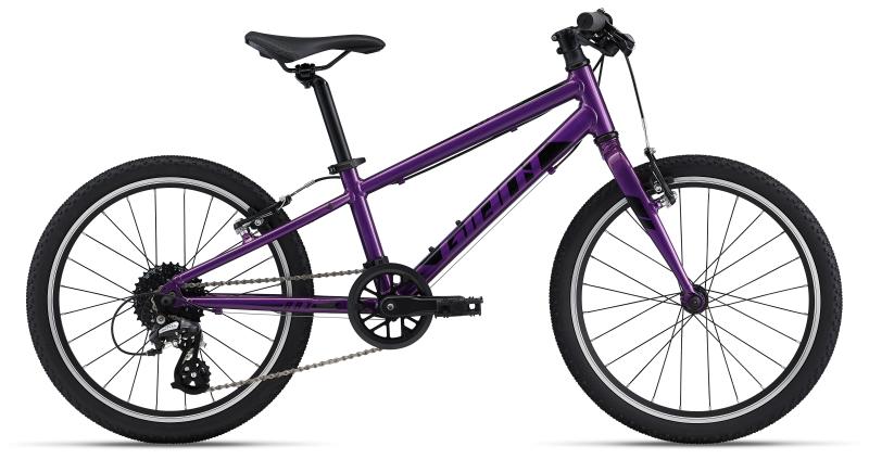 Giant ARX 20 purple 2022 - 20