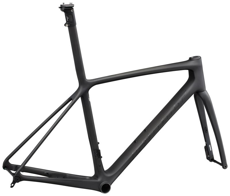 Giant TCR Advanced SL Rahmenset raw carbon 2022 - Diamant -  