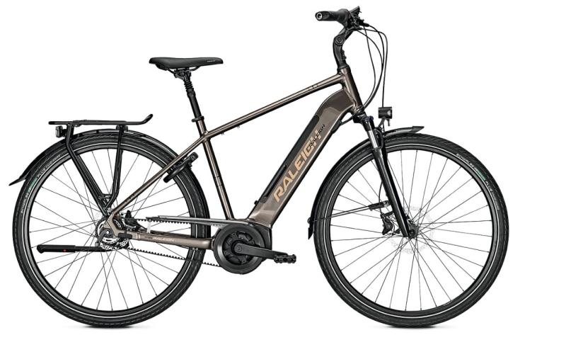 Raleigh Bristol Premium crystalgrey glossy 2022 - Herren-28