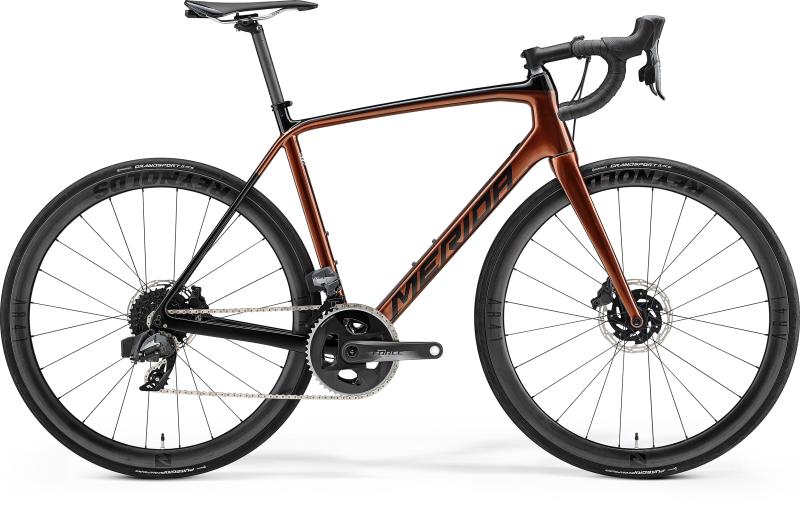 Merida SCULTURA FORCE-EDITION Bronze ( Schwarz )  2021 - 28