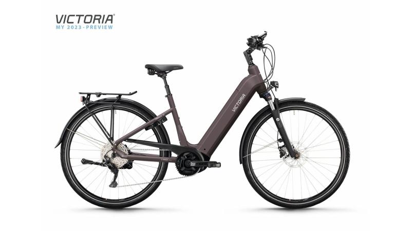 Victoria TRESALO 13 BORNIT COPPER 2023 - 28