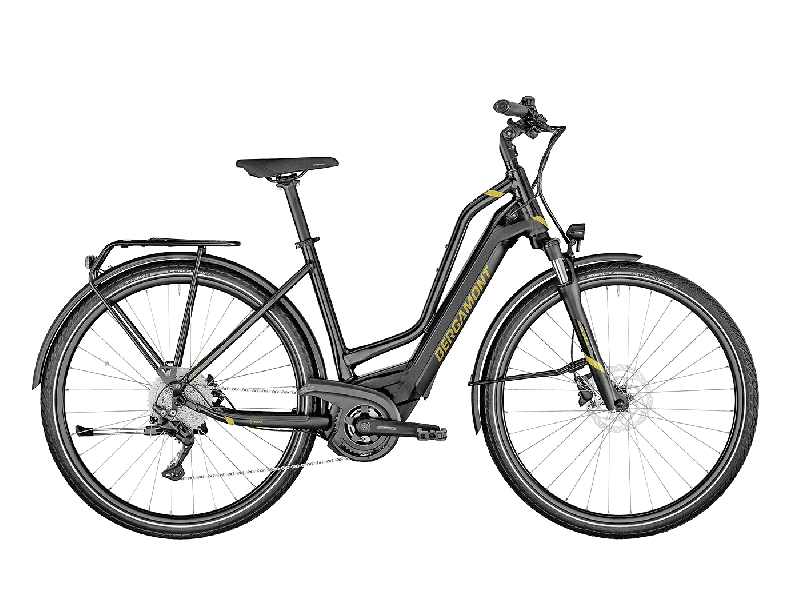 Bergamont E-Horizon Edition Amsterdam black black gold dust/gold (shiny/matt) 2021 