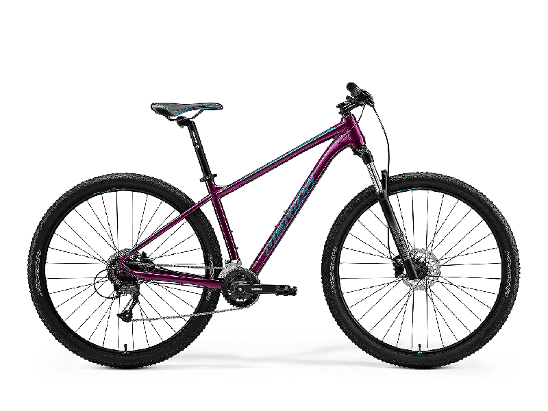 Merida BIG.NINE 60-2x Lila(Türkis)  2021 - 29