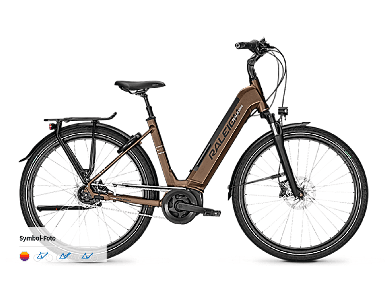 Raleigh Bristol XXL steelgrey matt 2022 - Unisex-28