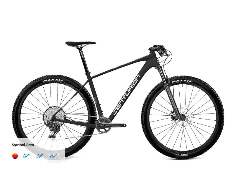 Centurion Backfire Carbon 2000 Carbon/weiss-silber 2023 - 29