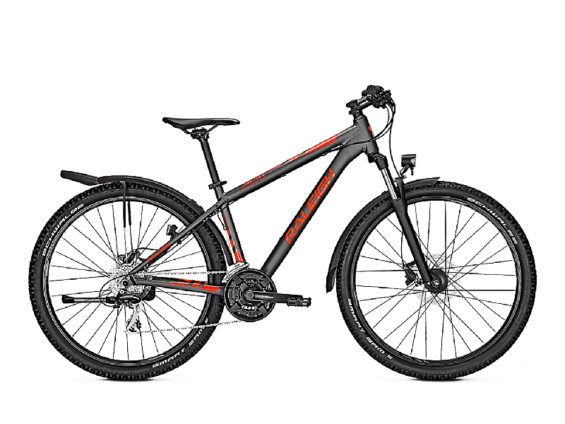 Raleigh DAYMAX jetgrey matt 2021 - 27