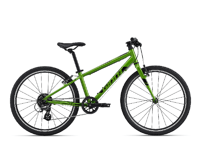 Giant ARX 24 Metallic Green 2022 - Kinder-20