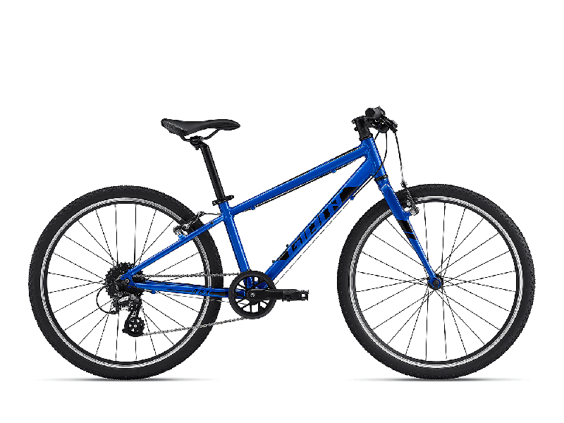Giant ARX 24 Sapphire 2022 - Kinder-20