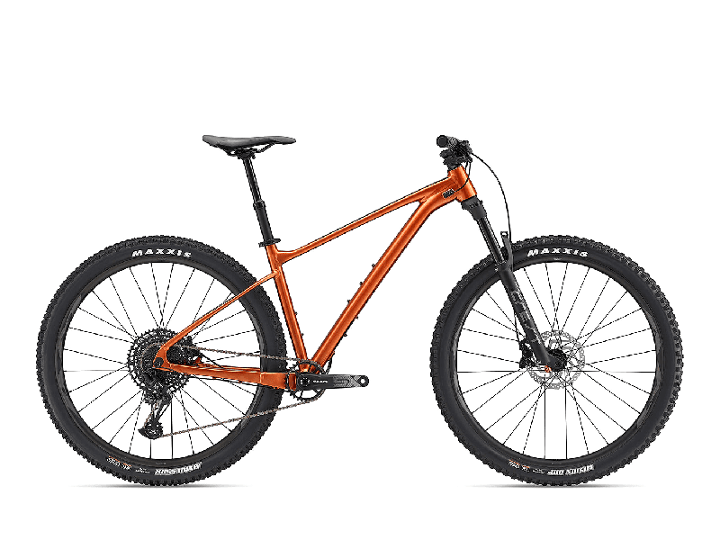 Giant Fathom 1 29