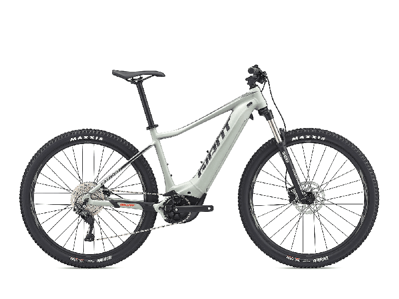 Giant FATHOM E+ 2 Desert Sage Matt  2021 - 500Wh 29