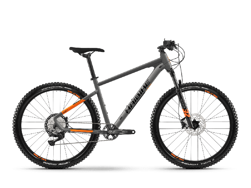 Haibike SEET 10 Titan / Lava Matt  2021 - 29