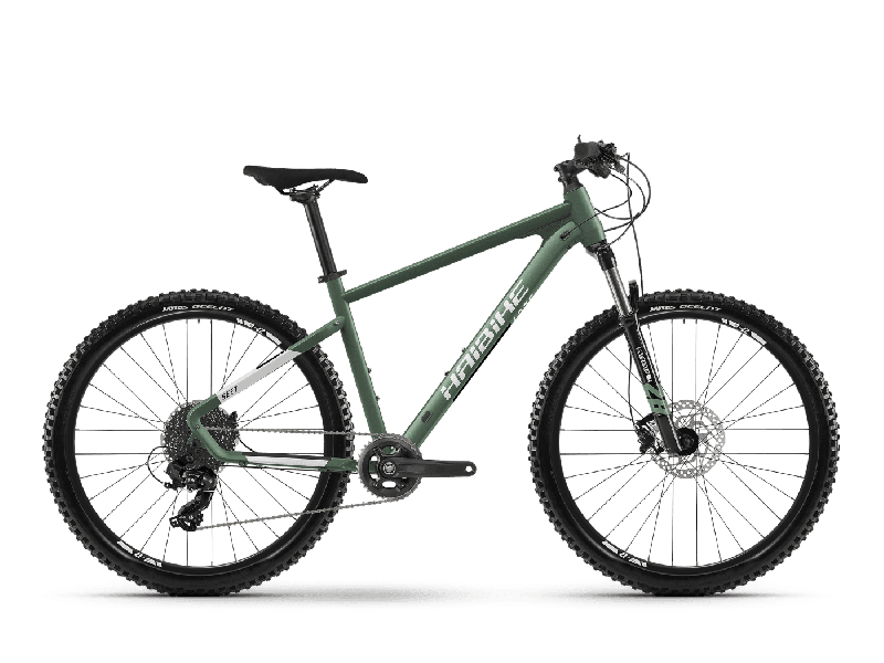 Haibike Seet 6 Bamboo Green / Cool Grey Matte  2021 - 29