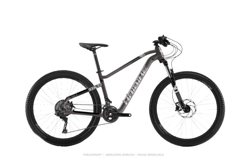 Haibike SEET HardNine 3.0 Grau/Weiß/Schwarz 2019 - MTB Hardtail 29 -  