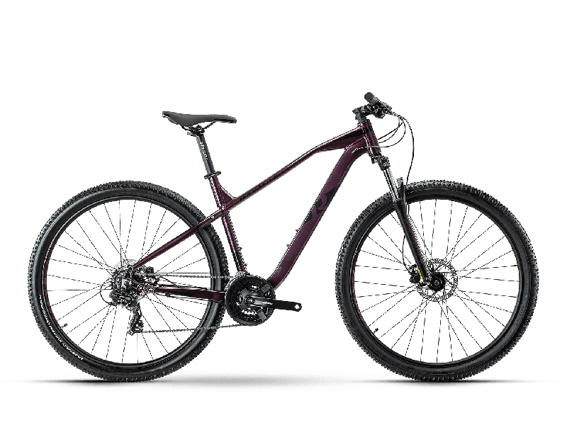 Raymon HardRay Nine 2.0 Wine Metallic / Black  2021 - 29