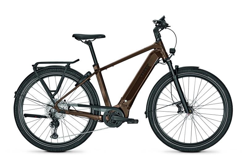 Kalkhoff ENDEAVOUR 5.B ADVANCE+ goldbrown glossy 2023 - 29