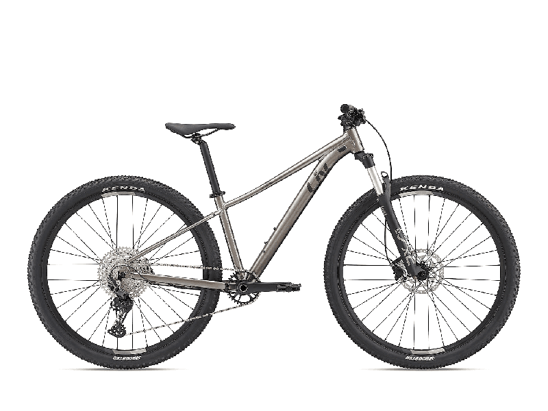 Liv Tempt 29 0 Metal 2022 - Damen-29