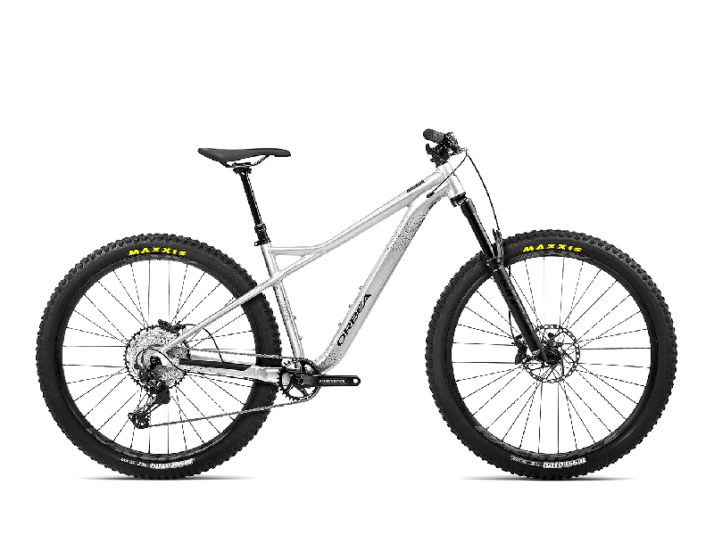 Orbea Laufey H-LTD Aluminium Raw (Gloss) 2023 - 29