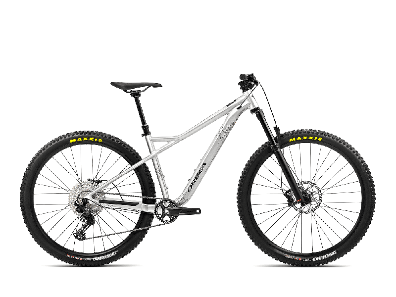 Orbea Laufey H10 Aluminium Raw (Gloss) 2023 - 29