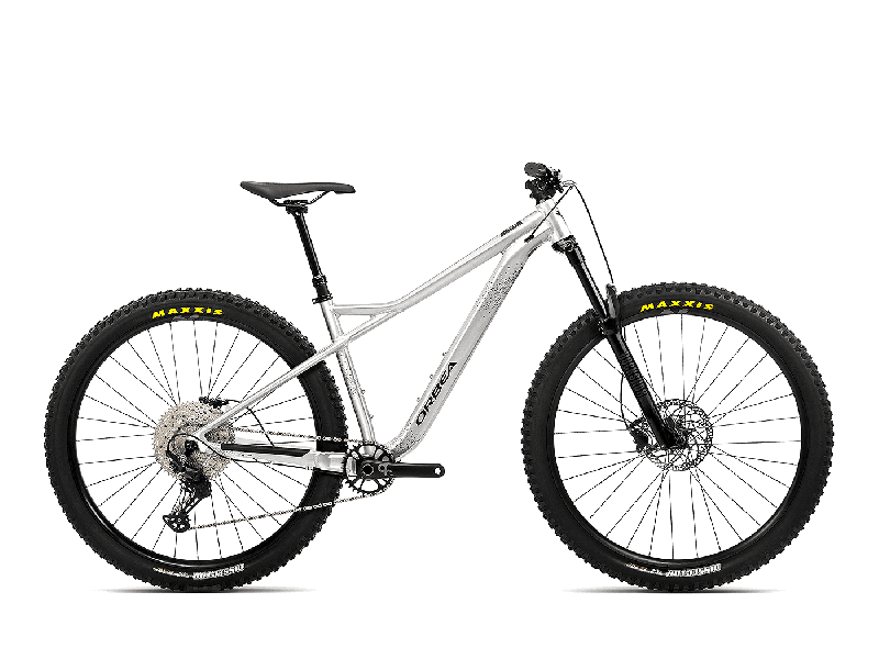 Orbea Laufey H30 Aluminium Raw (Gloss) 2023 - 29