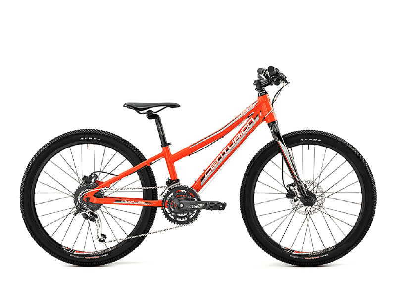 Centurion R' Bock 24 Team Rot 2021 - 24