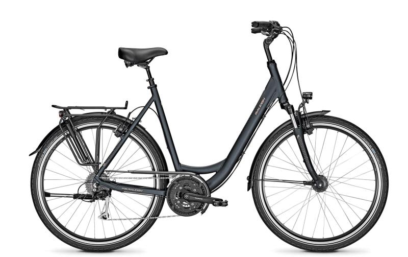 Raleigh CHESTER 27 XXL seablue matt 2020 - Wave -  